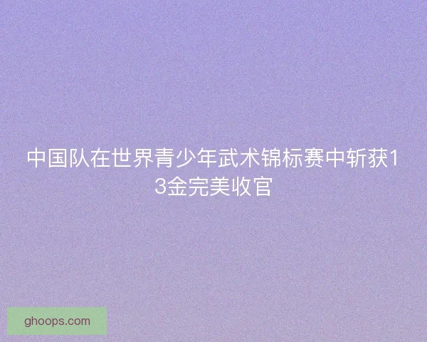 中国队在世界青少年武术锦标赛中斩获13金完美收官